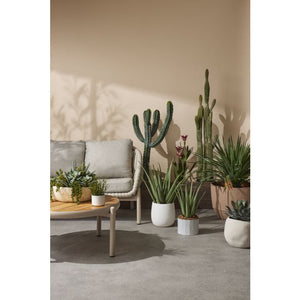 Artificial Saguaro Cactus (Large) || NEXTRA GIFTS