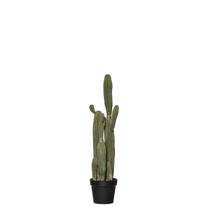 Artificial Saguaro Cactus (Med) || NEXTRA GIFTS