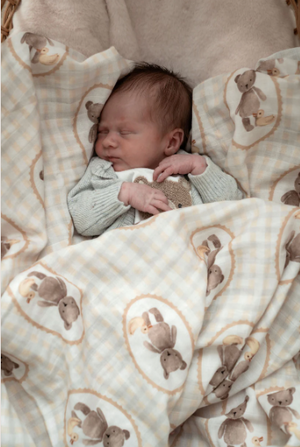 Ted & Duck Organic Swaddle  || POP YA TOT