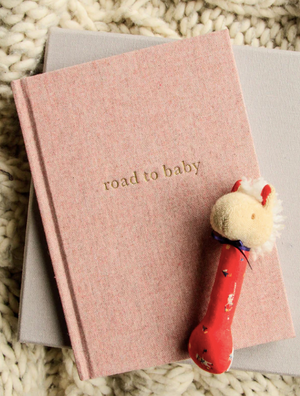 Road to Baby Journal - Dusk || WRITE TO ME