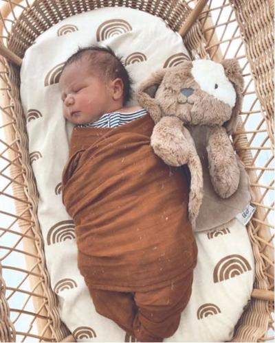 
            
                Load image into Gallery viewer, Baby Comforter - Duke Dog  || OB Designs
            
        